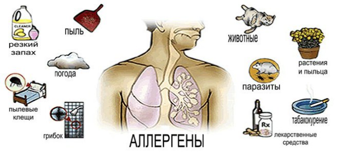 алергени